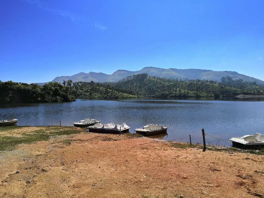 Munnar in Monsoon - Elephant abode