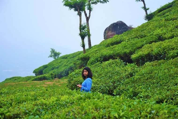 Munnar in Monsoon - a trip to remember 11 Munnar in Monsoon Tea estates