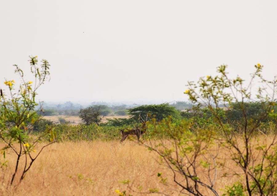 The Best One Day Trips from Bangalore - 48 Amazing Places 13