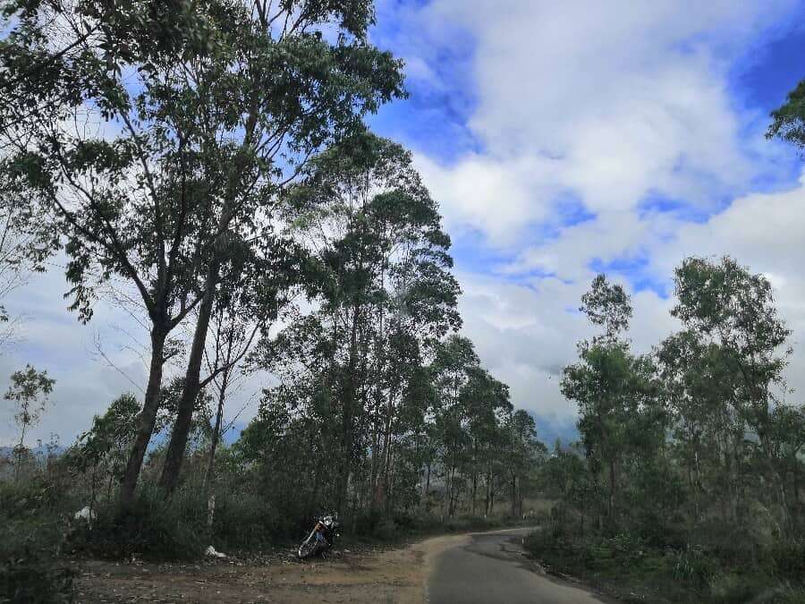 Kolukkumalai Tea Estate - the highest organic tea estate in the world