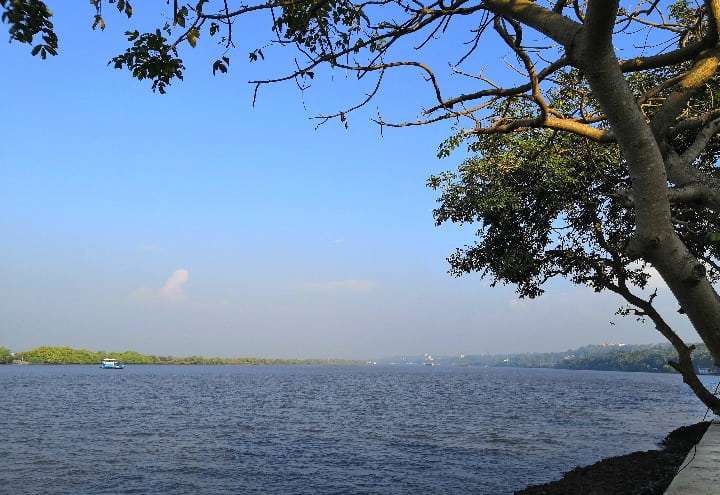 Mandovi river