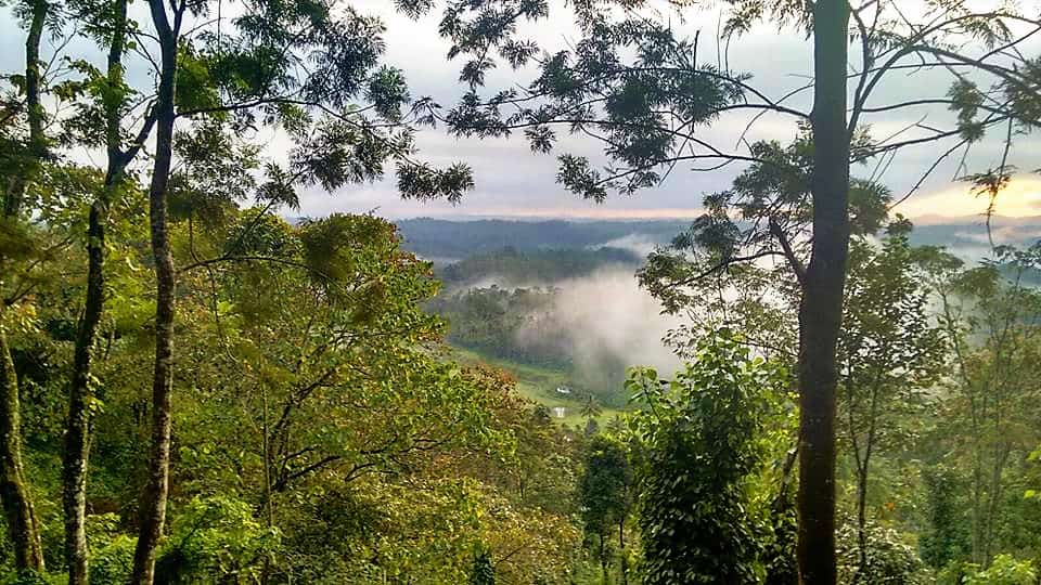 The Dream Western Ghats Road Trip in 2023 (With Map) 13