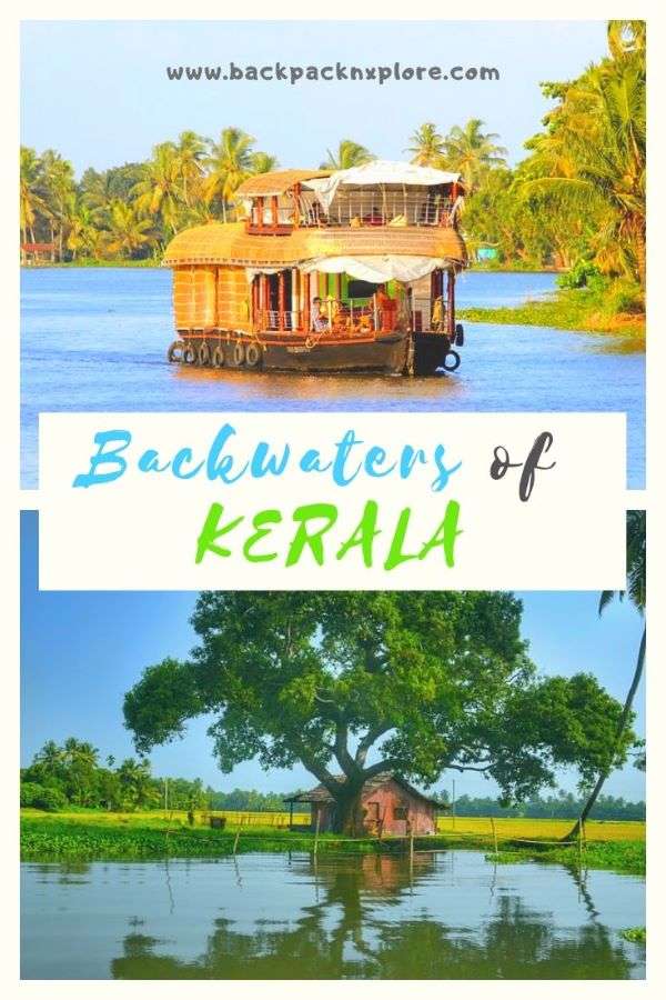 Experience the Backwaters of Kerala in the beautiful Vembanad Lake. A soulful travelogue of our memorable roadtrip to Alleppey and of sailing in the Venice of the East. #India #Kerala