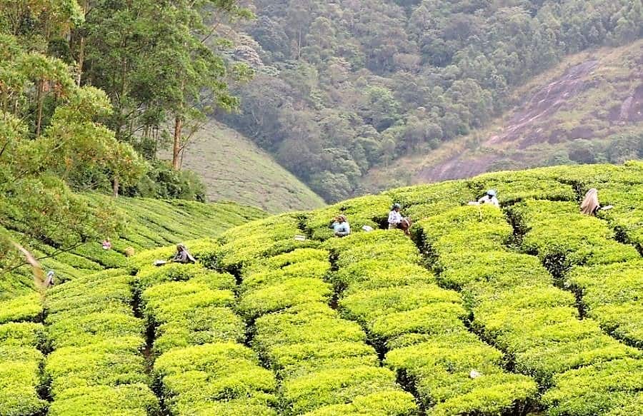 karnataka road trip map