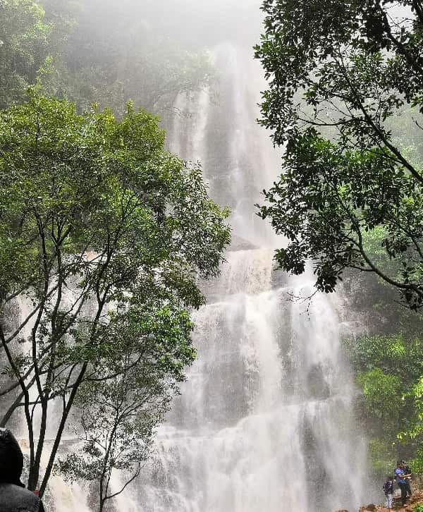 Chikmagalur itinerary - Buttermilk falls