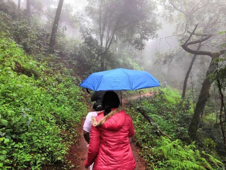 Girl in red jacket with an umbrella walking in dense coffee groves of Chikmagalur. That's me Sinjana during rain in Chikmagalur