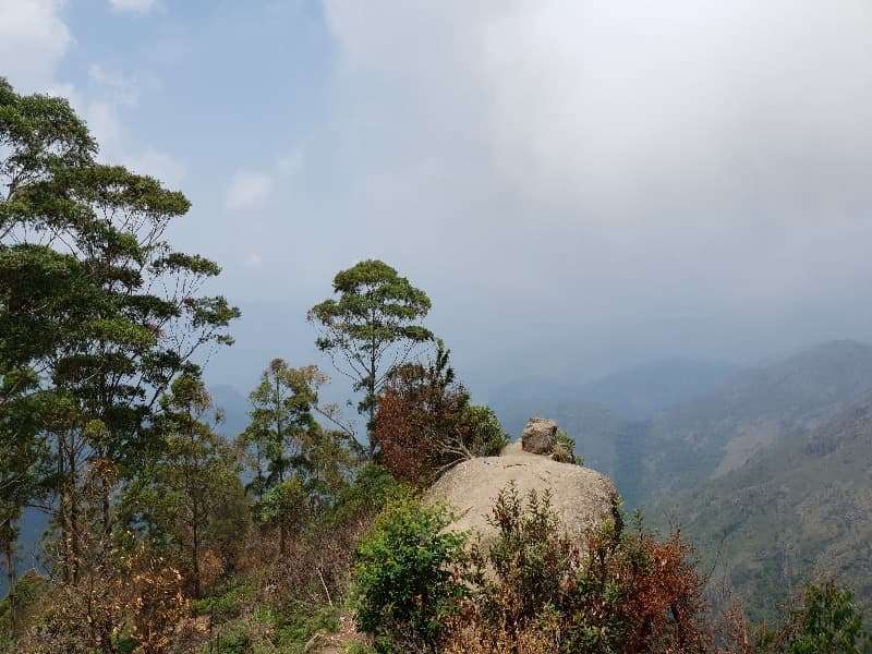 Views of misty valleys at random places are the best things to see in your Kodaikanal itinerary.