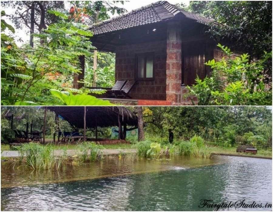 Duddhsagar Goa stay-min