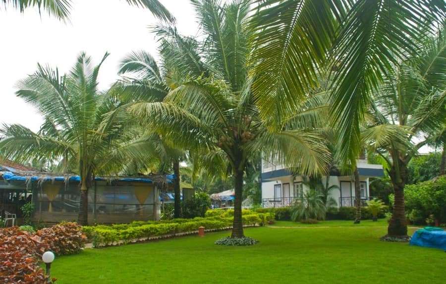 Economical Beach Resorts in Goa