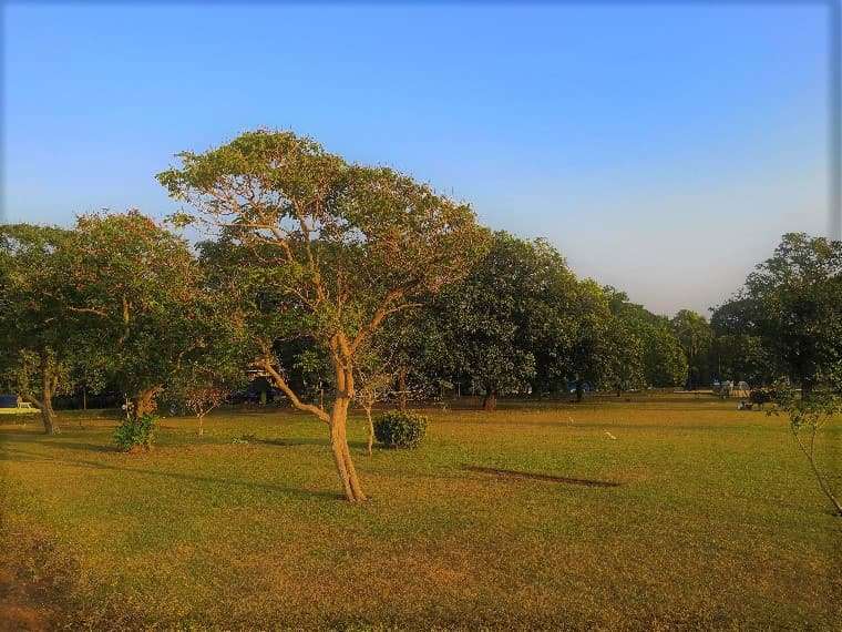 Goa Facts: interesting Portuguese links