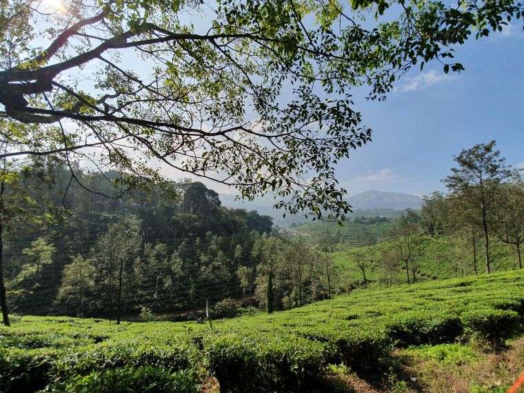 wayanad trip itinerary