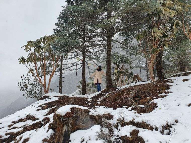 sikkim tourism season