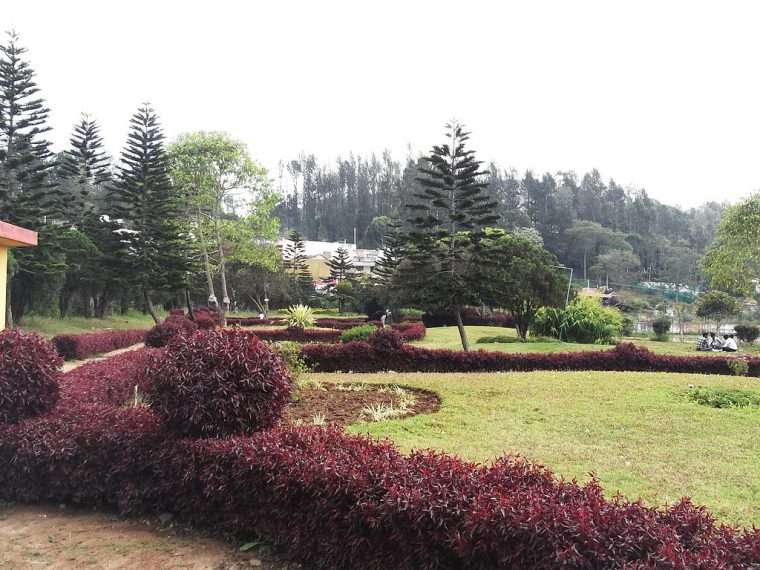The Best Yercaud Itinerary - Visit the Queen of Eastern Ghats in 2024 5 A beautiful park in the hills with pine trees, and decorative plants near the Emerald Lake - Anna Park is a highlight of Yercaud Trip Plan with family