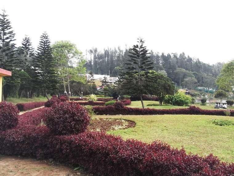 A beautiful park in the hills with pine trees, and decorative plants near the Emerald Lake - Anna Park is a highlight of Yercaud Trip Plan with family