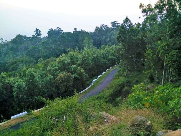 32 km loop road in Yercaud with dense forests and hilly views on both sides