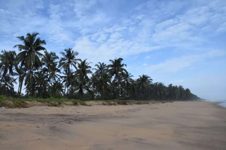 The sky after rainfall at Thaikadappuram Beach in Nileshwar , near our resort. The sand is still wet, and the weather is perfect for walking along the beach lined by coconut groves