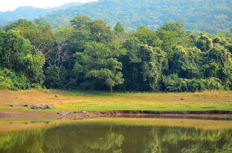 Jamshedpur tourism - Dalma Wildlife sanctuary