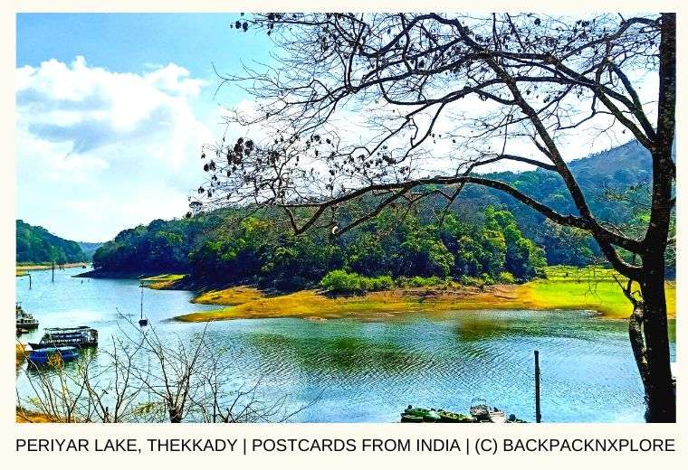 The Perfect Thekkady Itinerary: Home to the Periyar National Park