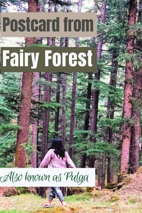 A trek to the Fairy Forest, Pulga. Sleeping in the lap of Himalayas is this quaint little village in Himachal Pradesh, India. Click to know more about this magical place.