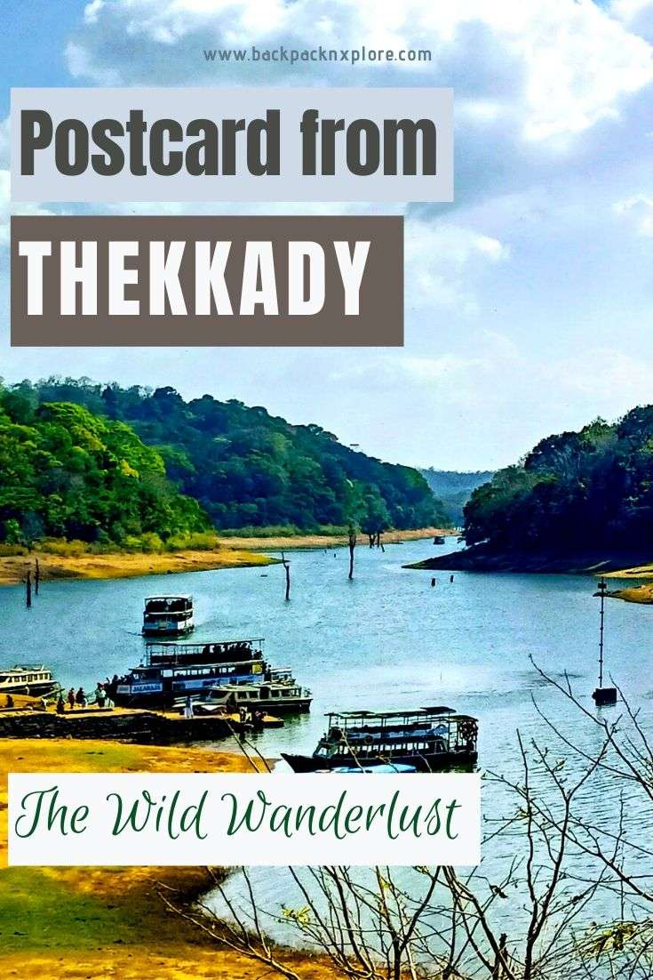 thekkady tourist shopping