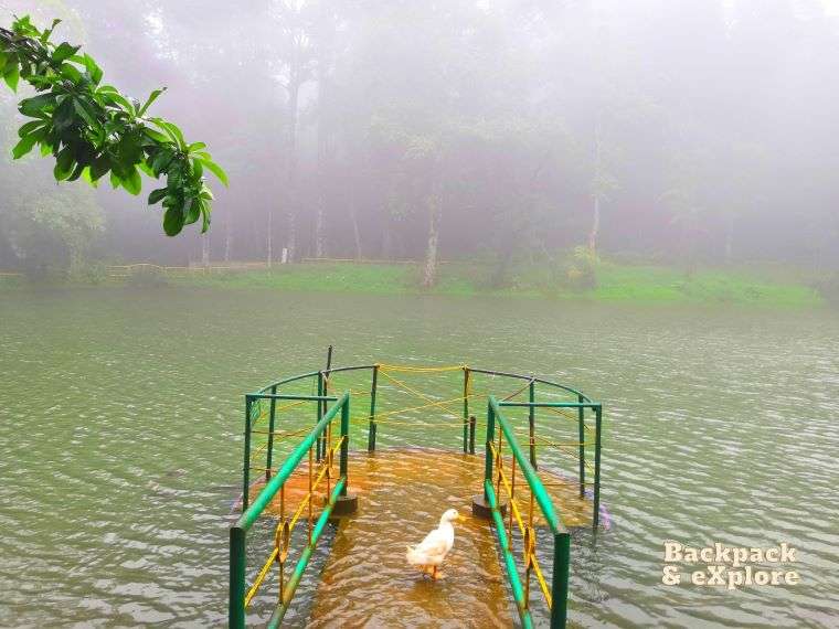 Agumbe is one of the best places to visit in South India