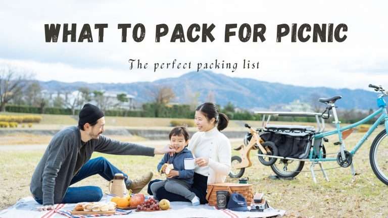 A perfect picnic packing list