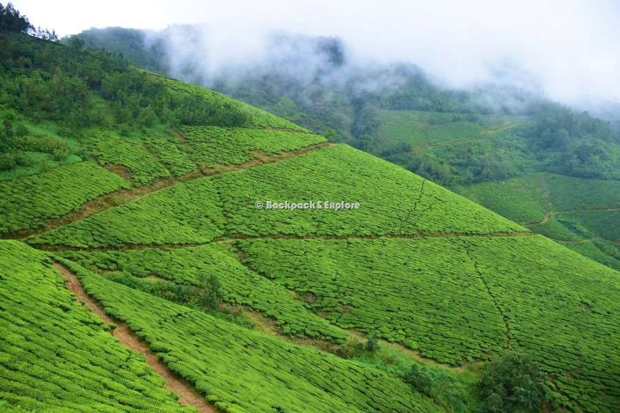 kolukkumalai2 kolukkumalai - best places to visit in Tamil Nadu