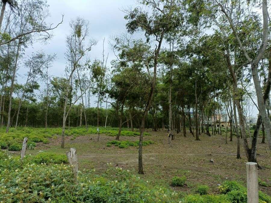 A Weekend Trip to Digha - Bengal's own Goa 15