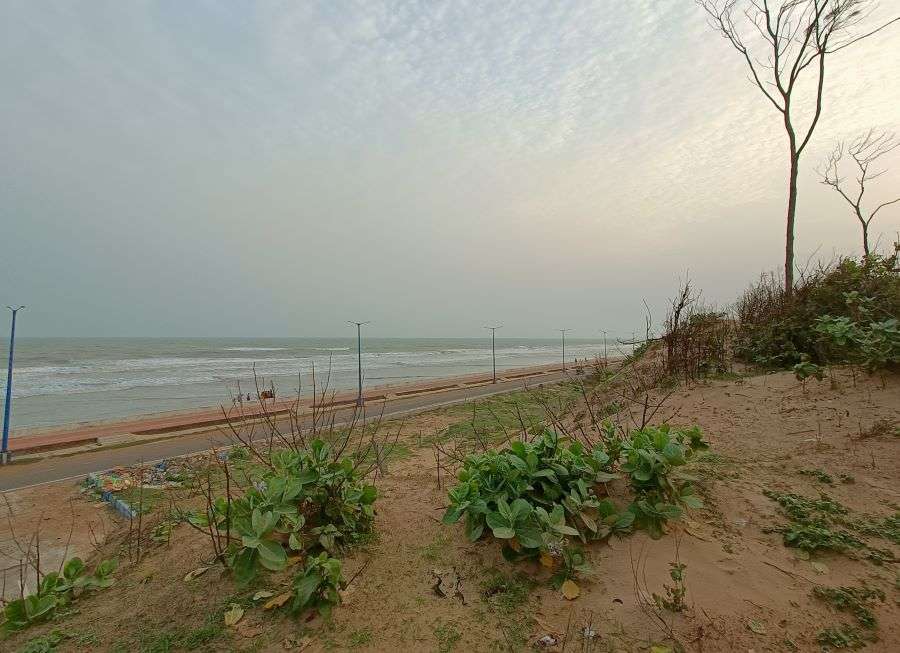 west bengal tourism in digha