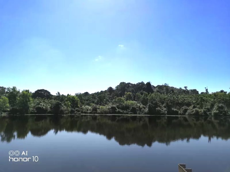 A crystal clear lake reflecting the clear-blue sky and the dense forest of Sharavati Valley. This is Gajanur Dam in Shimoga itinerary