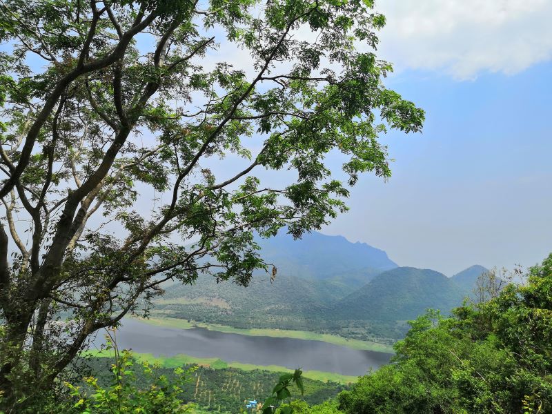 The Best Kodaikanal Itinerary for 3 Days in 2024 27