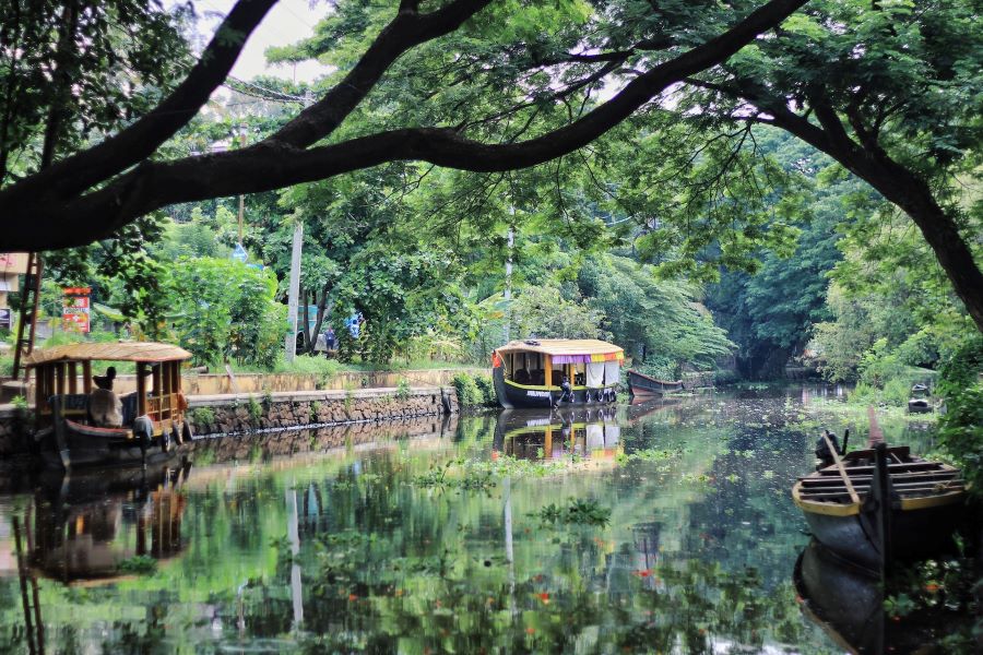 Backwaters of Alleppey - the best of alleppey in one or two days