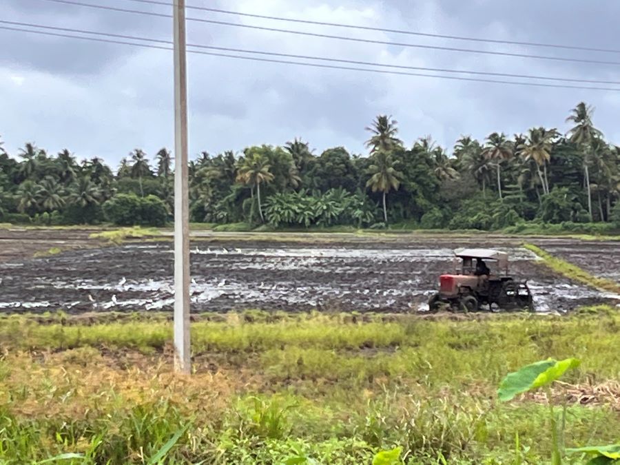 The Perfect Alleppey Itinerary: Best Places To Visit In One Day
