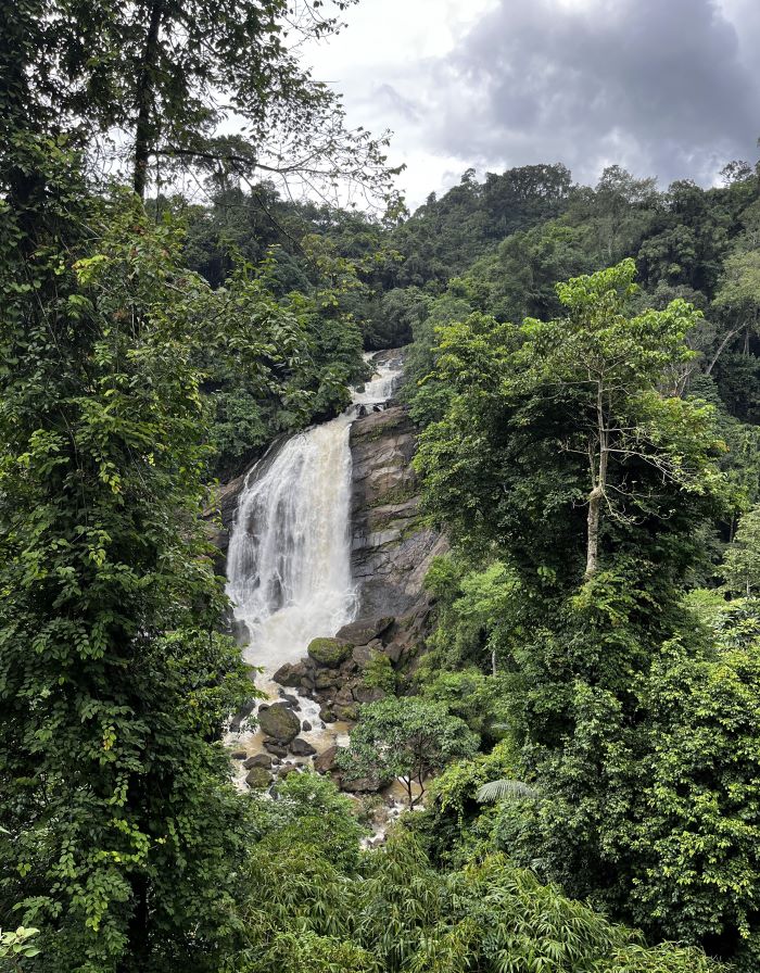 A tall sharp plunge waterfall at the deeply forested hills