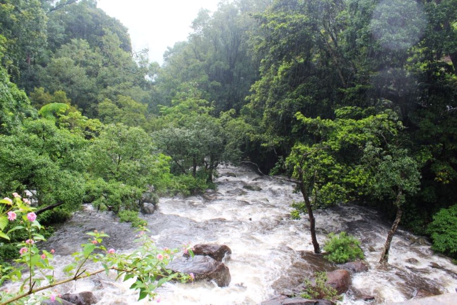 Monsoon waterfall in the forest of Eravikulam National Park in Munnar itinerary