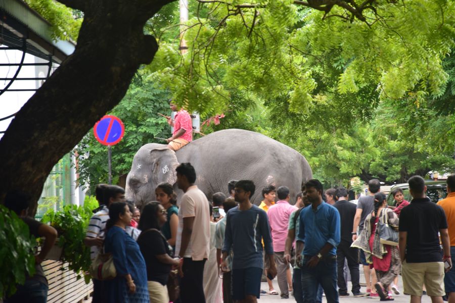 The Best Pondicherry Itinerary for 3 days in 2024 2