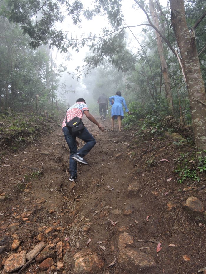 Three people trekking in the misty forests