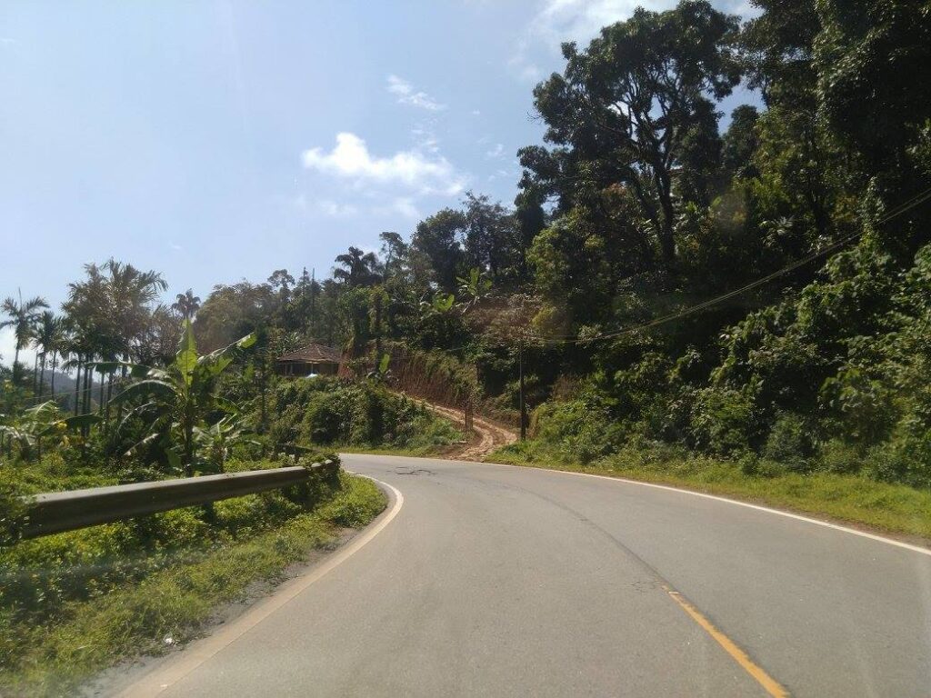 winding roads we encountered in our Bangalore to Coorg road trip