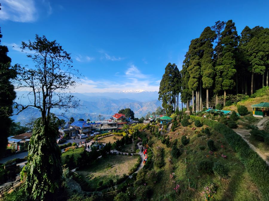 Top 17 Places with the Best Views of Kanchenjunga 5 Lush greenery and splendid Kanchenjunga views from Lamahatta Eco Park, Darjeeling District, showcasing nature's splendor.