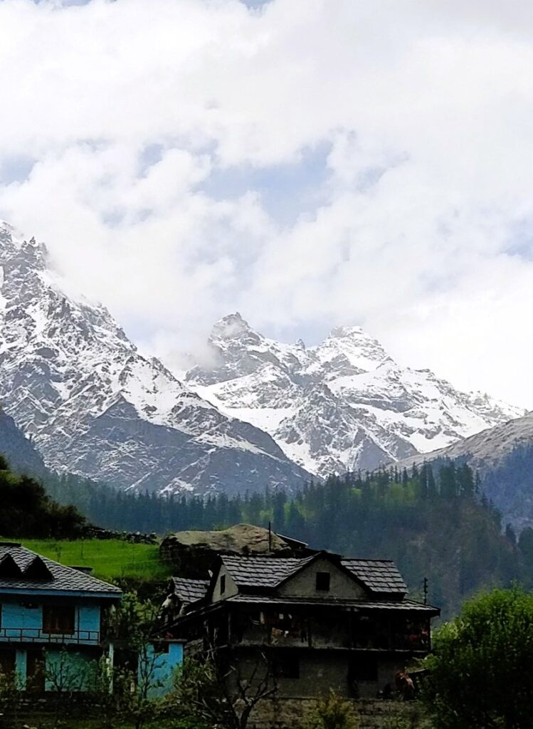 Top 10 Places to visit in India in Summer With Family in 2024 9