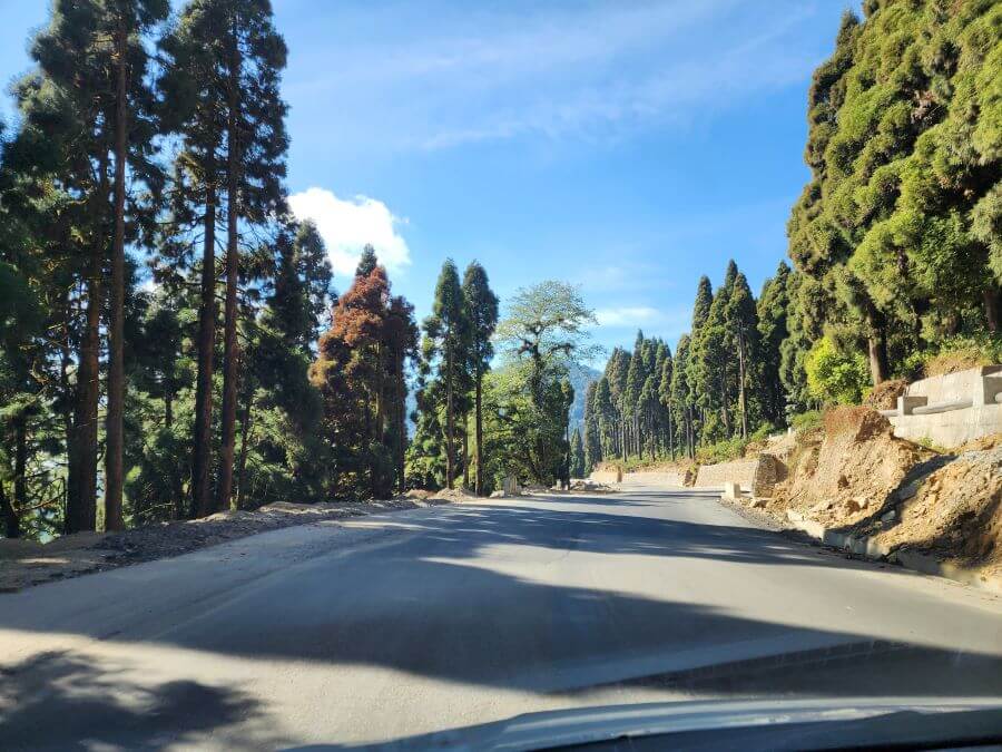 Driving through the Alpine forests of Rishop